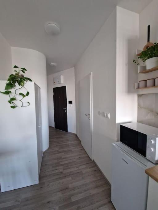 Apartman V Meste Pozsony Kültér fotó