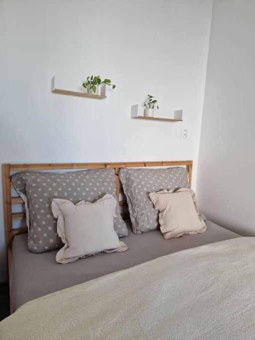 Apartman V Meste Pozsony Kültér fotó